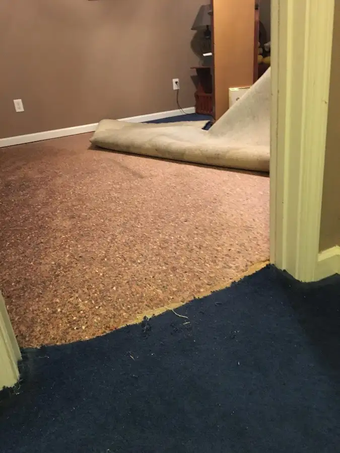 Carpet pad removal revealing water damage during Water Mitigation Services in University City